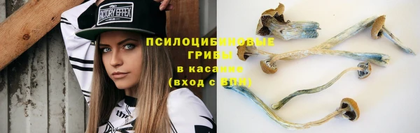 кокс Богданович