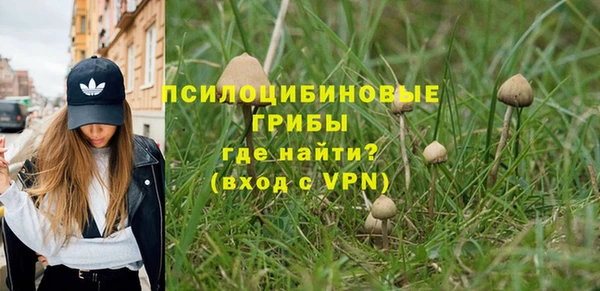 бошки Балахна