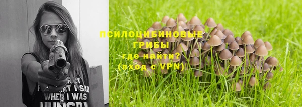 гидропоника Богородск
